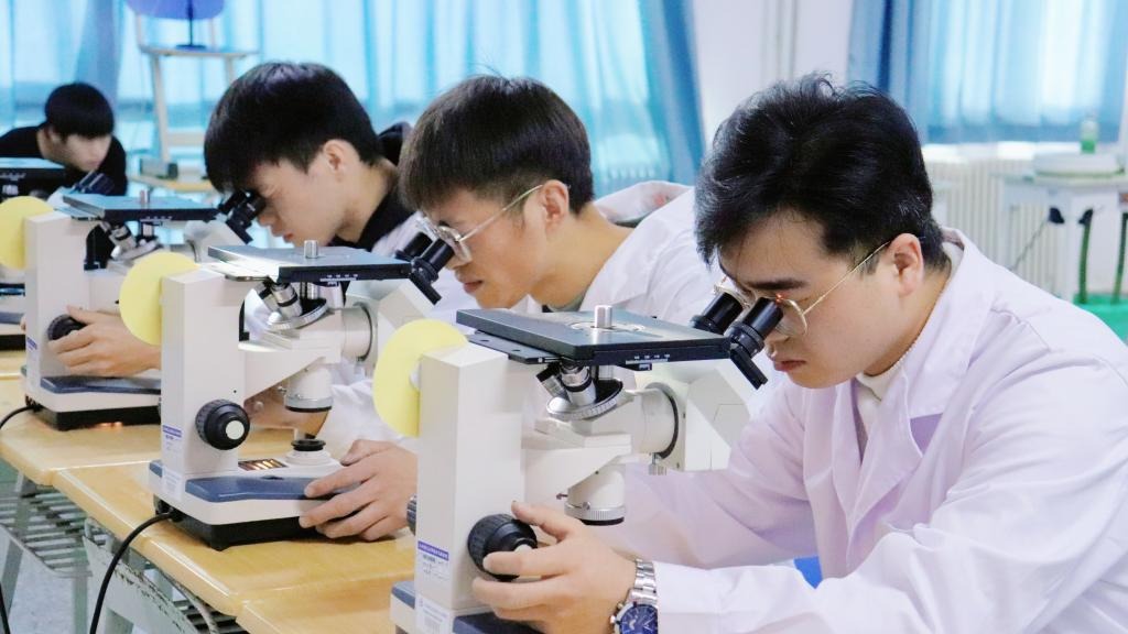 徕卡杯”第十一届全国大学生金相技能大赛决赛英国上市公司官网365分赛场圆满落幕