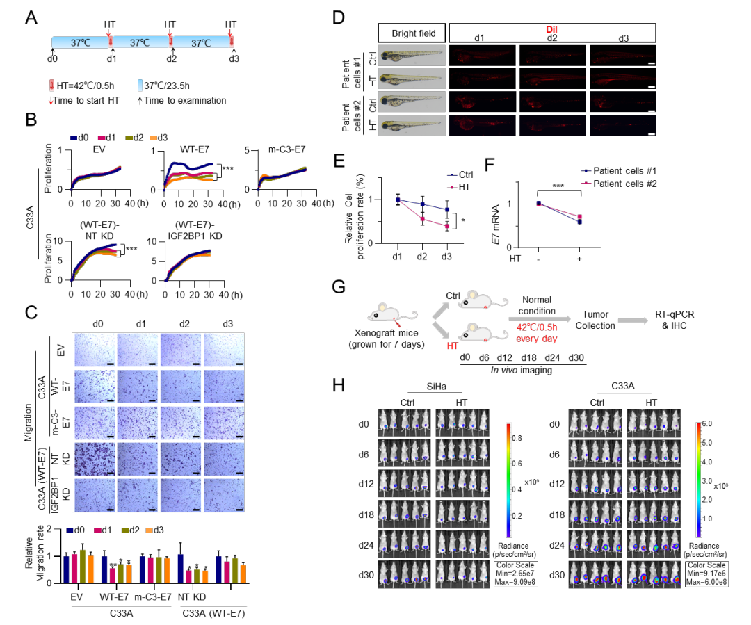 g.png g.png